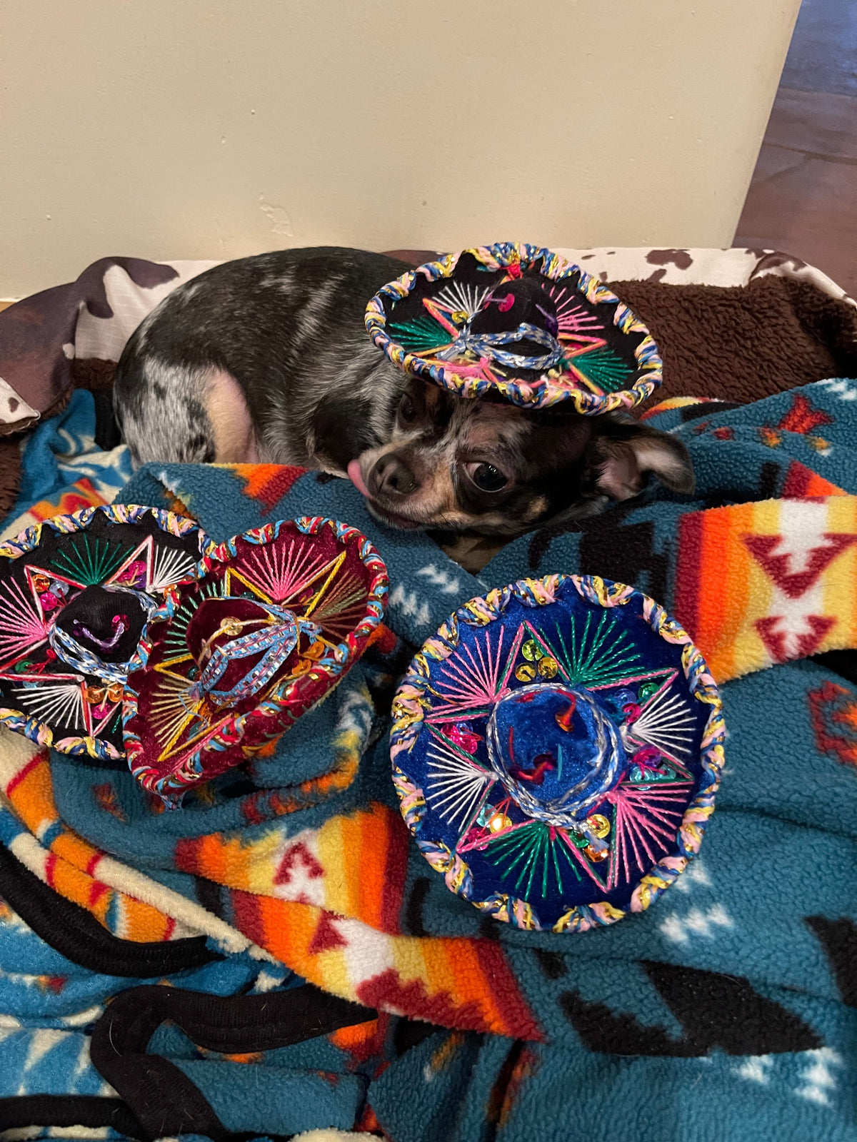 XS  Mexican sombrero hat decoration or pet dog use Southwest Bedazzle clothing