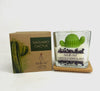 Cactus candle 10oz   SAGUARO