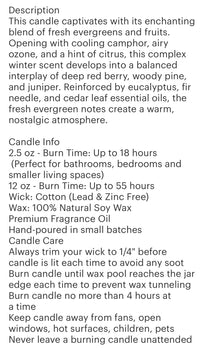 Frosted Snowflake juniper Christmas Candle  2.5oz