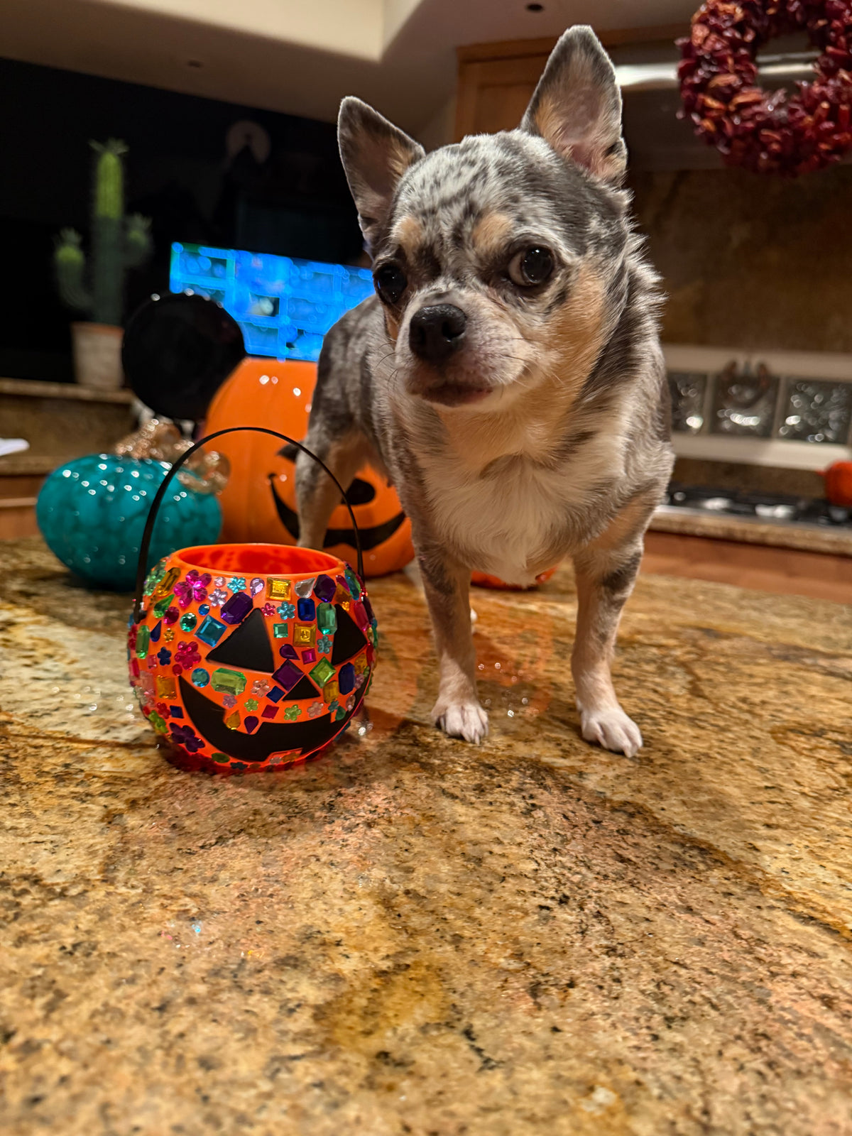 Mini Bedazzled Pumpkin