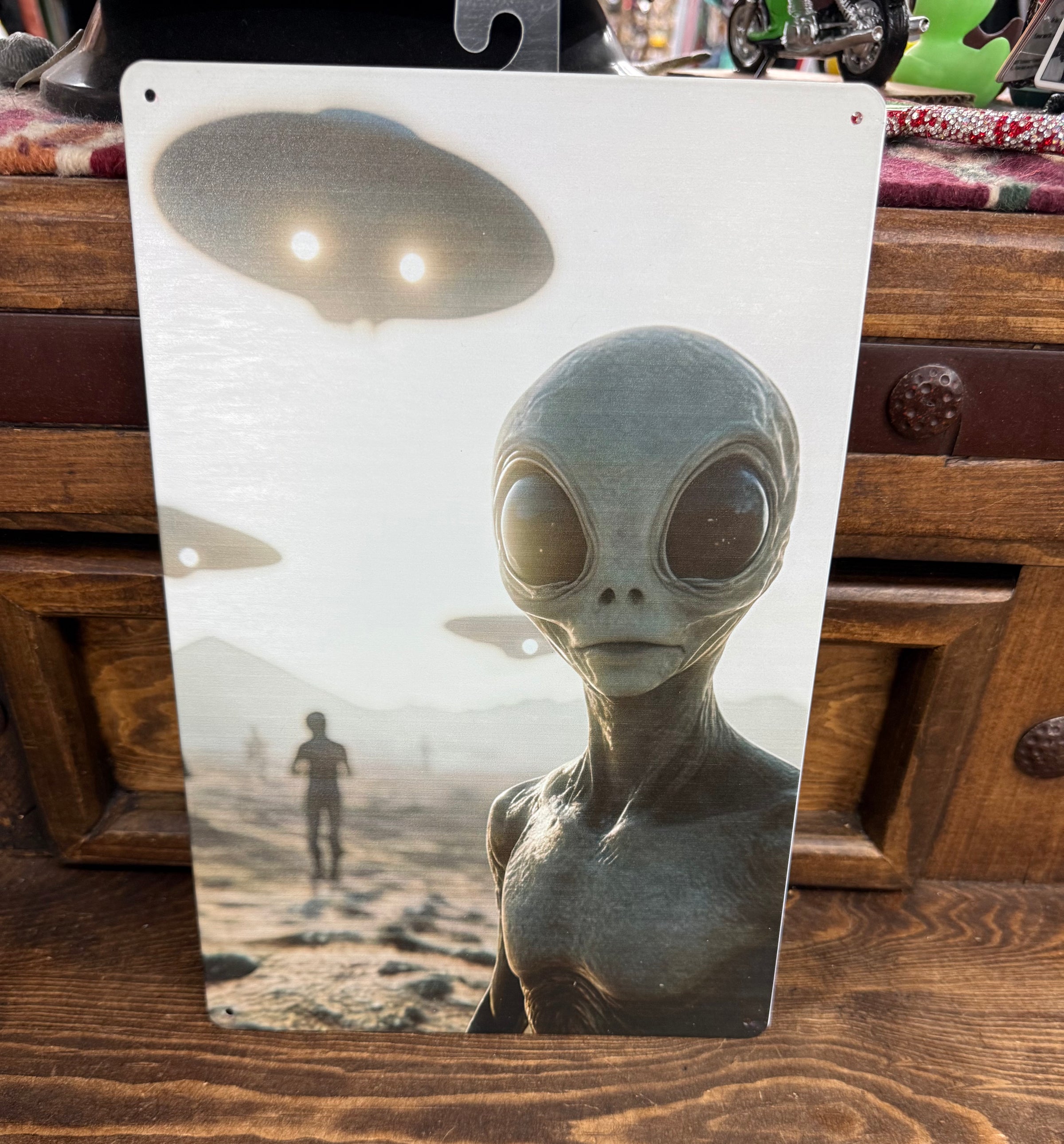 Alien metal sign