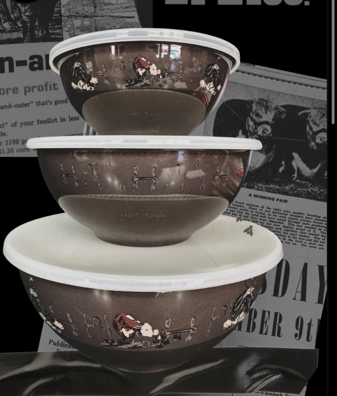 Western 3 BOWL Set