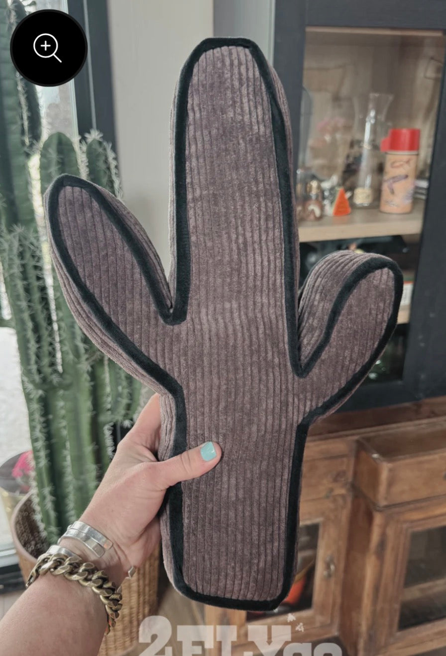Kick a Cactus pillow  ((6 colors))