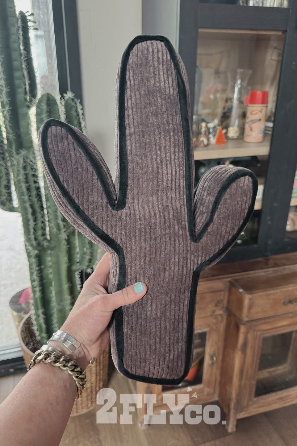 Kick a Cactus pillow  ((6 colors))