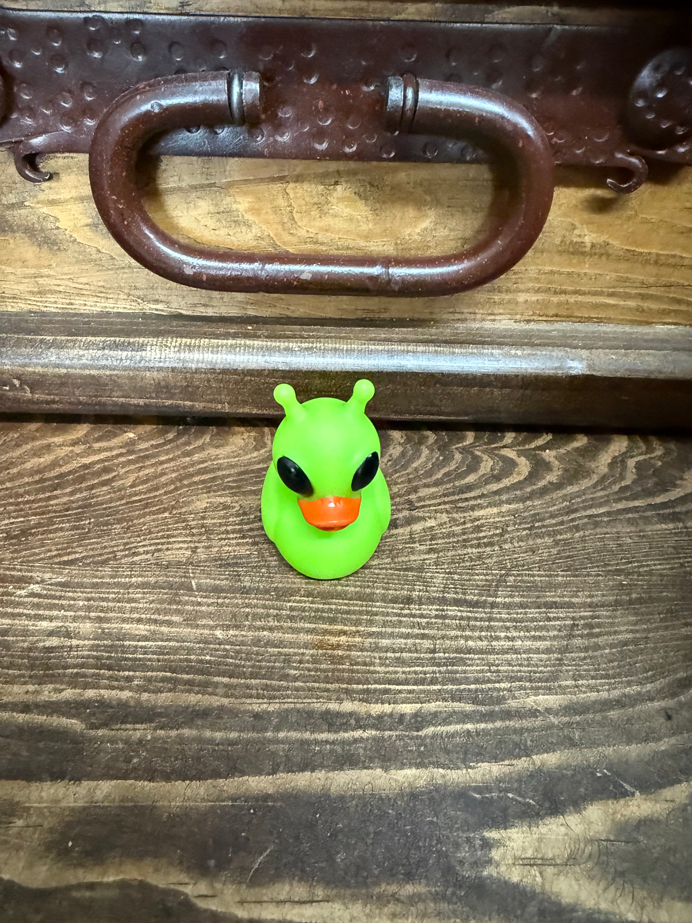 Small rubber Alien duck