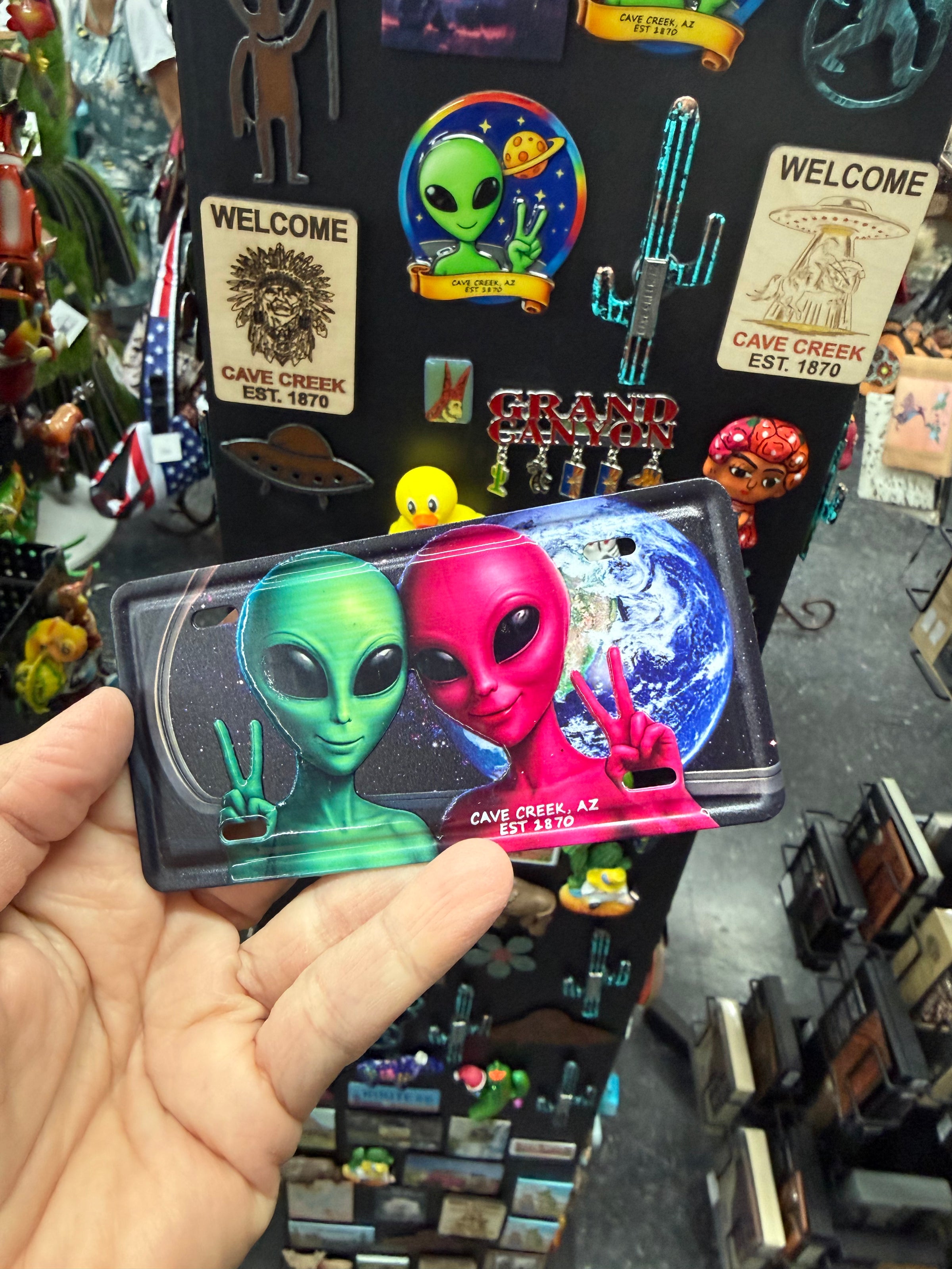 Alien magnet license plate