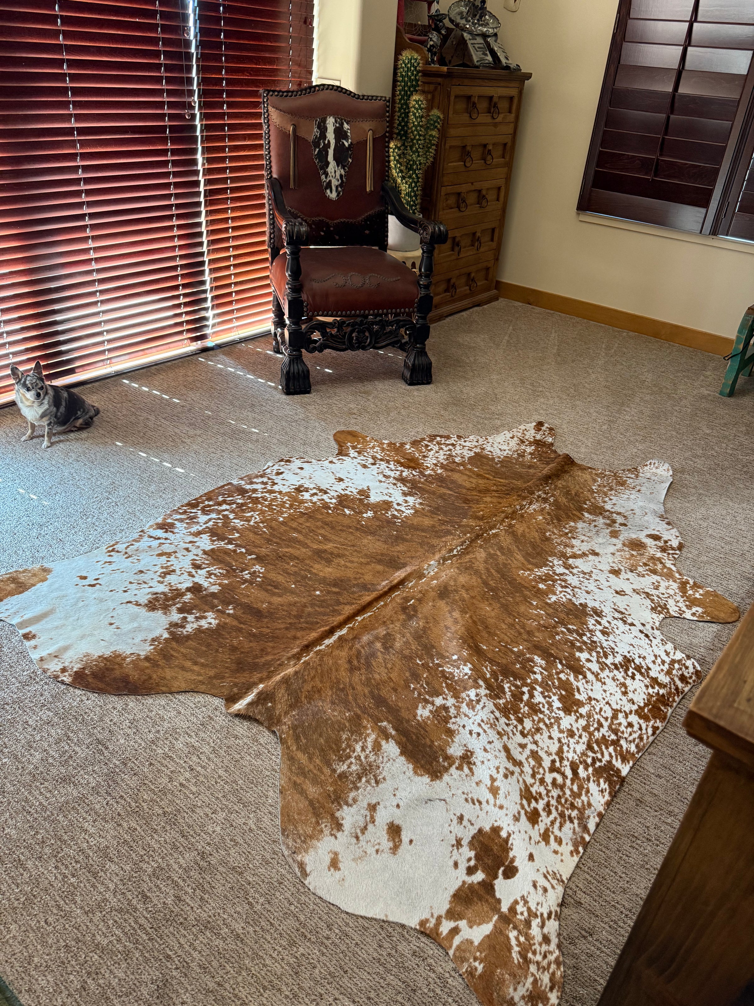Huge Used but like new COWHIDE RUG