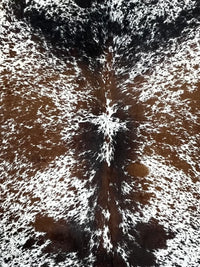 Non slip Premium Cowhide area rug  7.4’-6.8’