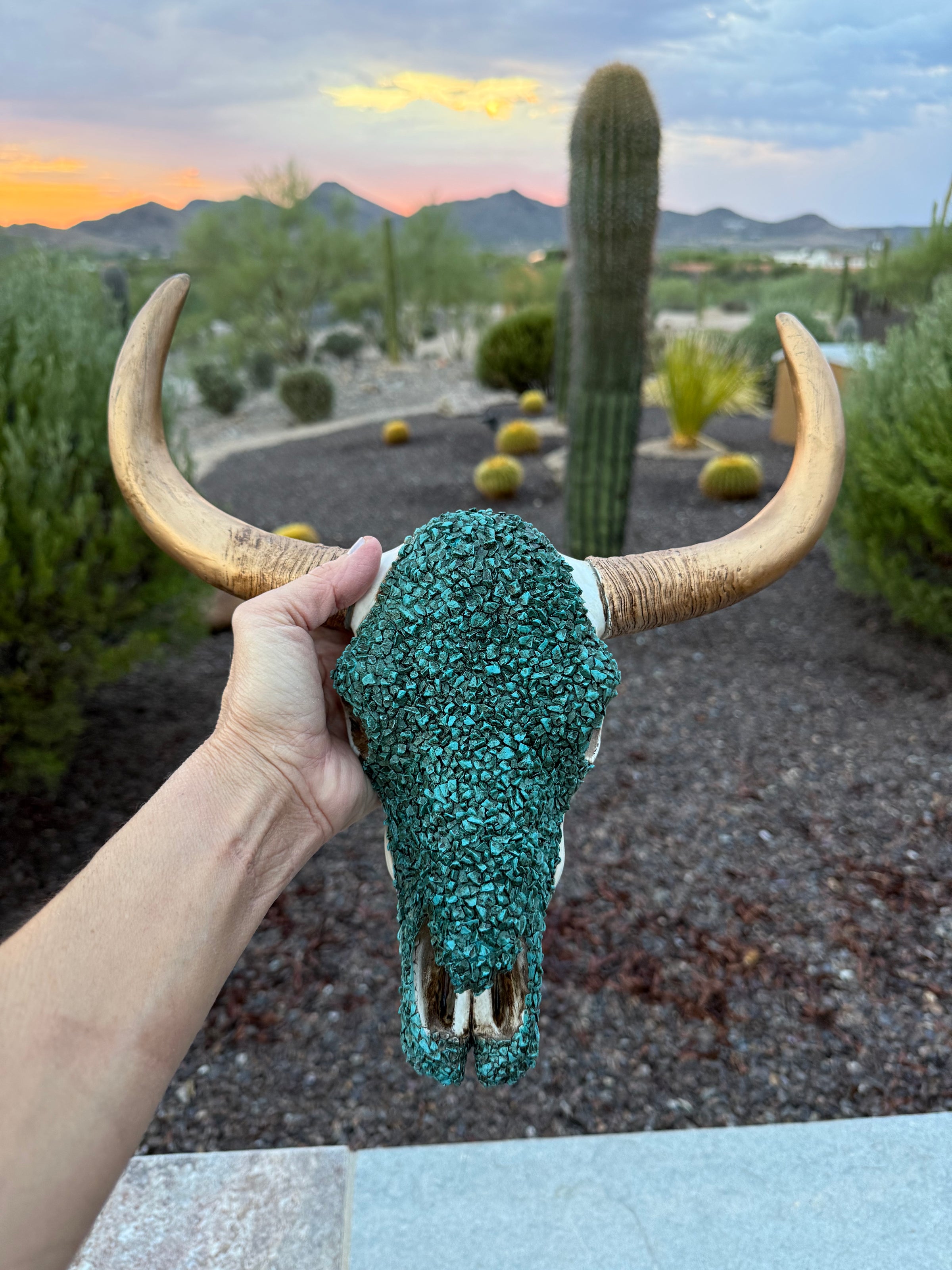 13” Resin Western Cow skull wall decor