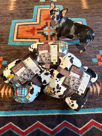 Sunflower Cow Western throw blanket  twin