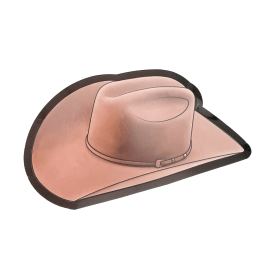 Brown cowboy hat  paper DESSERT PLATES   Set of 8 Southwest Bedazzle home decor