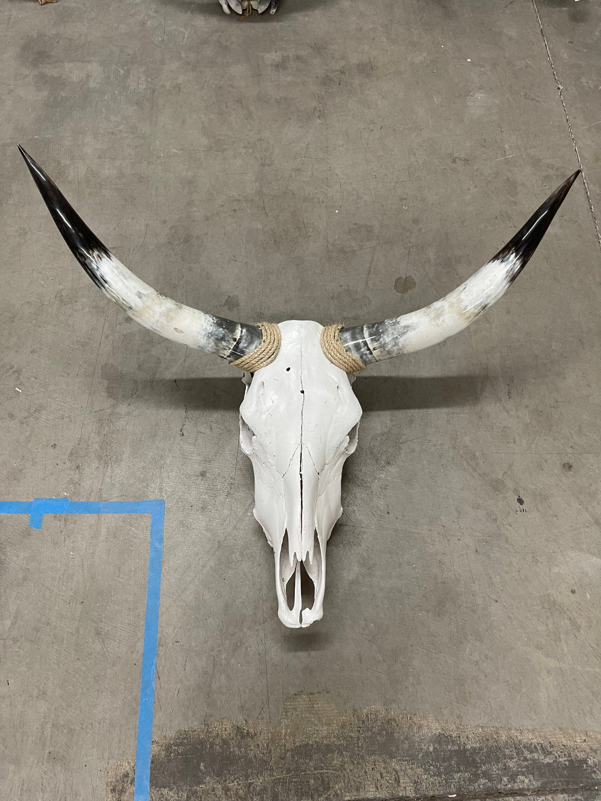 Longhorn skull  35”-21” Southwest Bedazzle home decor