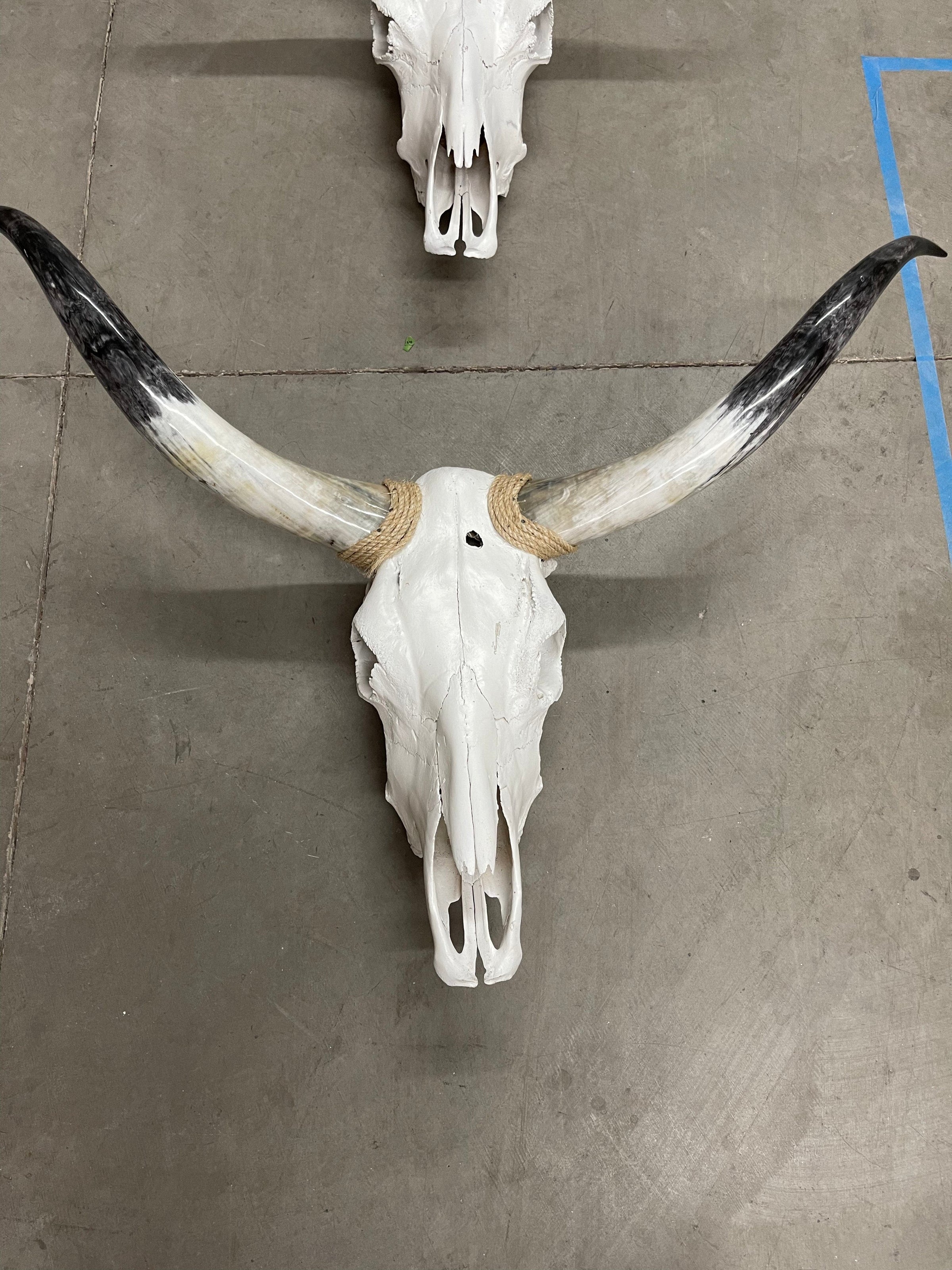 Longhorn skull  42”-21” Southwest Bedazzle home decor