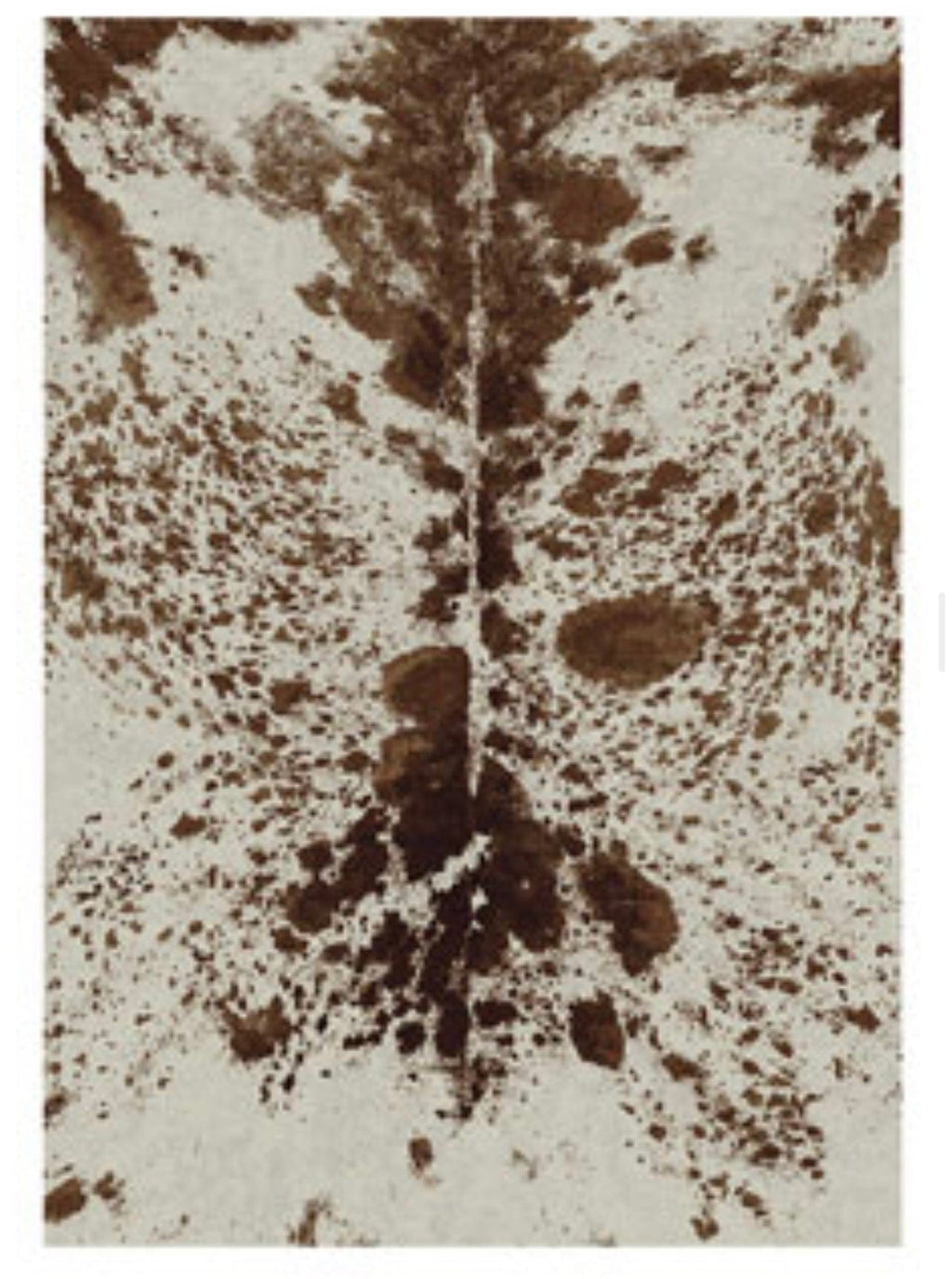 Pioneer Longhorn area RUG – Southwest Bedazzle