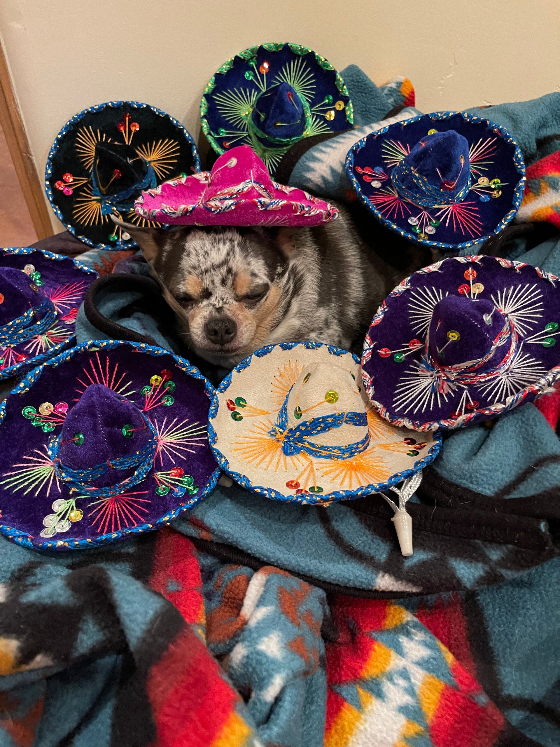 small-mexican-sombrero-hat-  display picture 1