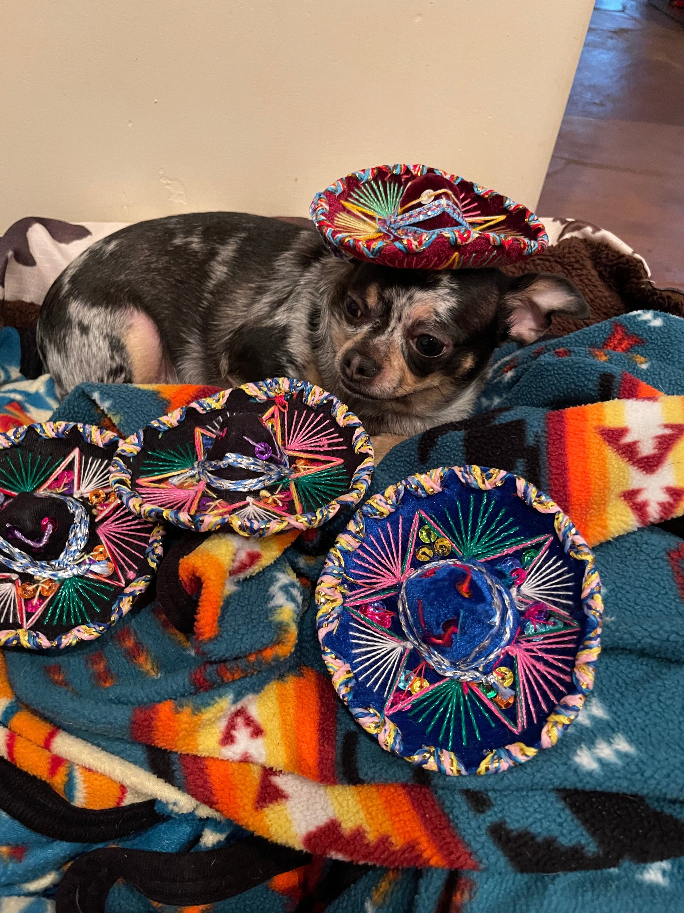 XS  Mexican sombrero hat decoration or pet dog use Southwest Bedazzle clothing