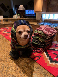 🐶MEDIUM DOG PONCHO  9-30   pounds Southwest Bedazzle clothing